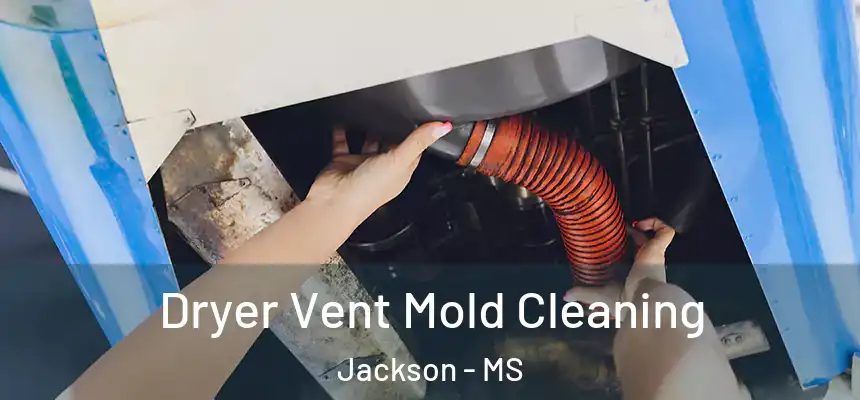  Dryer Vent Mold Cleaning Jackson - MS