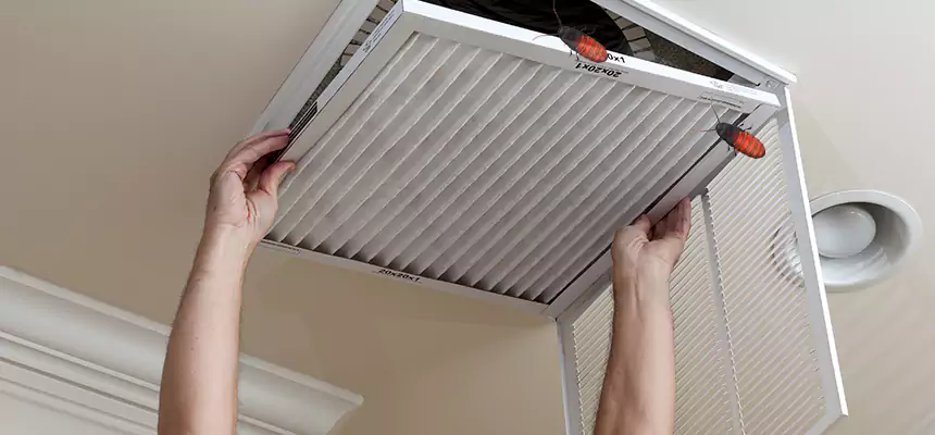 Preventive Cockroach-Proofing for Ducts in Jackson