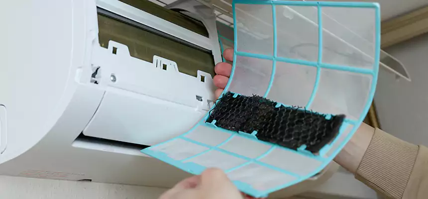 Gentle Ductwork Odor-Control Pet Dander Duct Cleaning in Jackson, MS