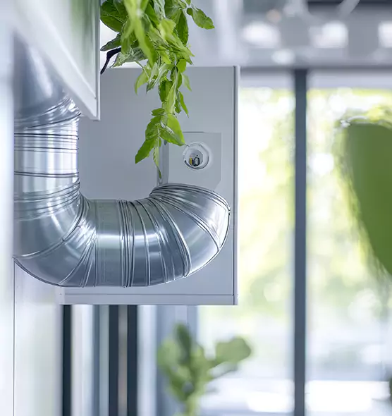 Professional Eco-Friendly Duct Cleaning Services in Jackson, MS