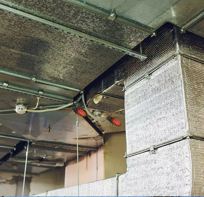 Why Homeowners & Businesses Trust Us in Jackson, MS?