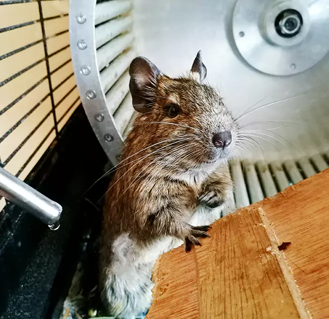 Why Homeowners & Businesses Trust Us Jackson, MS?