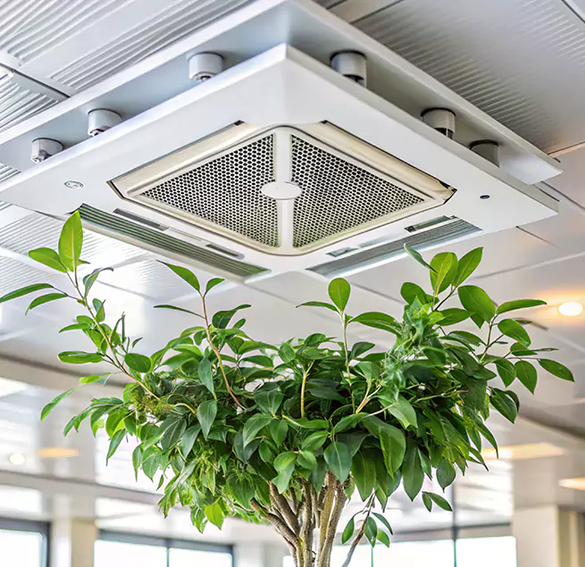 Why Homeowners & Businesses Trust Us in Jackson, MS?